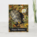 Search for subject postcards Cute