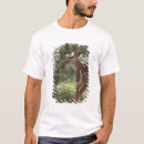 Search for comal Outdoor