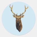 Search for bull elk stickers Hunting