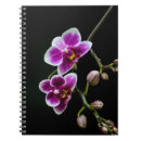 Search for orchid notebooks Black