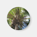 Search for coconuts magnets Ocean