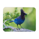 Search for danita delimont magnets Washington state