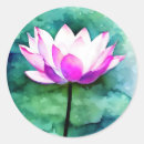 Search for pink lotus stickers Botanical