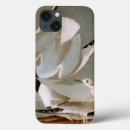 Search for gull cases Birds of america