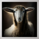 Search for ewe posters Lamb