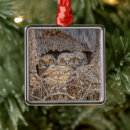 Search for owl family christmas tree decorations Bird