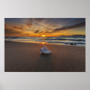 Search for kos posters Sand