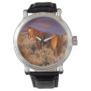 Search for manager watches Bureau of land management