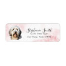 Search for old english sheepdog return address labels Puppy