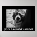 Search for herding dog posters Black