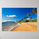 Search for hawaii wall posters Tropical beach