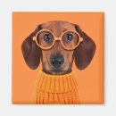 Search for cute square magnets Pet