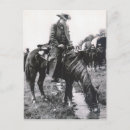 Search for watering hole postcards Horse