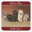 Search for mew Cute