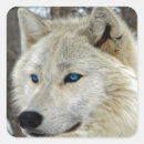 Search for blue wolf stickers Animal