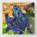 Search for darts art Amphibian