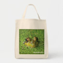 Search for algae accessories Nature