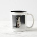 Search for tabby coffee mugs Pets