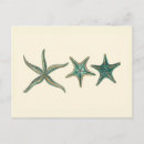 Search for shell borders cards invites Sea life