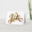 Search for afghan hound christmas cards Pet