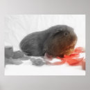 Search for pig love posters Cute