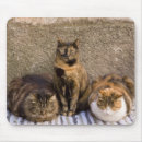 Search for terr mousepads Travel