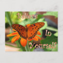 Search for julia postcards Photograph