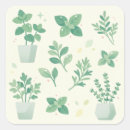 Search for herb stickers Leaf