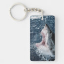 Search for amos key rings Animal