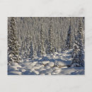 Search for jasper alberta postcards Icefields parkway