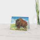Search for american bison cards Nature