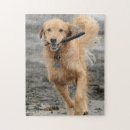 Search for golden retriever puzzles Beach