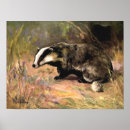 Search for honey badger posters Retro