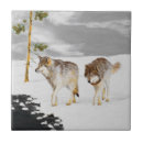 Search for wolves tiles Wolf