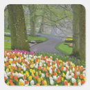 Search for keukenhof Flower