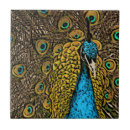 Search for peacock design tiles Colourful