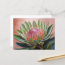 Search for protea postcards South africa