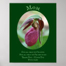 Search for mums posters Floral