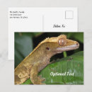 Search for zoo postcards Lizard