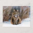 Search for dear postcards Animals