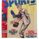 Search for baseball shower curtains Pitcher