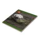 Search for whitetail deer tiles Animal