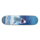 Search for shark skateboards Sea