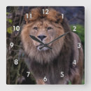Search for beautiful lion art Wildlife
