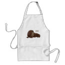 Search for walrus aprons Marine