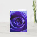 Search for rose blue cards Flower