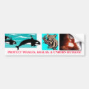 Search for protected bumper stickers Baby