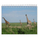 Search for giraffe calendars Vacation