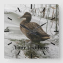 Search for duck clocks Bird