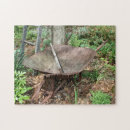 Search for rake Wheelbarrow